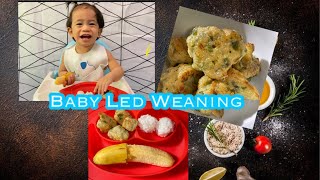 Baby Led Weaning recipes  1 year old  coated fried cauliflower  cauliflower recipe  blw [upl. by Pedaiah]