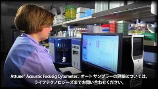 Attune® Auto Sampler for the Attune® Acoustic Focusing Cytometer【日本語字幕付き】 [upl. by Trebuh]