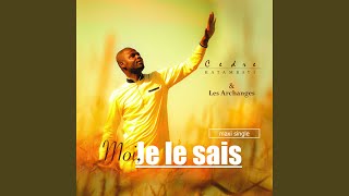 Moi JE LE SAIS [upl. by Ramonda]