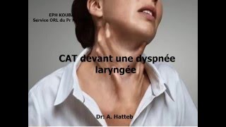 ORL CAT devant une dyspnée laryngée [upl. by Otero]