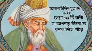 জালাল উদ্দিন মুহাম্মদ রুমির সেরা ৩০ টি বাণী। Inspirational Life Changing Quotes Rumi [upl. by Jessi]