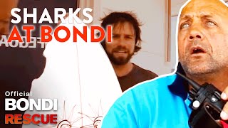 SHARKS at Bondi Beach  Top 5 Encounters [upl. by Yrral]