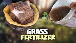 Grass Liquid Fertilizer Everything You Need To Know [upl. by Renba]