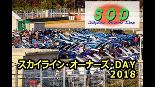 スカイライン・オーナーズ・ＤＡＹ２０１８ [upl. by Merfe]