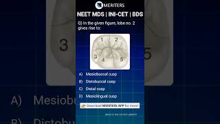 NEET MDS  INICET MDS  PSC  BDS  Most Important Questions neetmds2025 mdsprep [upl. by Frick]