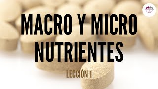 1 CONCEPTOS BÁSICOS DE ALIMENTACIÓN MACRO Y MICRONUTRIENTES NUTRICIÓN ORTOMOLECULAR [upl. by Legim]