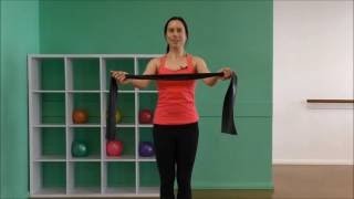 12 Minute Theraband Shoulder amp Back Strength Workout [upl. by Ruhtra]