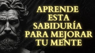 Domina el Arte de la Disciplina Estoica Cómo lograrlo sin motivación Guía Completa  Estoicismo [upl. by Ylatan]