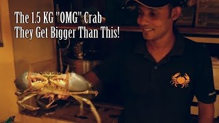 The quotOMGquot 15KG Crab  At ministry of Crab Sri Lanka [upl. by Eilema279]