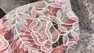 Ivory Embroidered Lace  Clancy [upl. by Rad824]