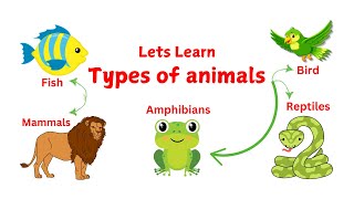 Types of Animals for Kids  Types of Animals for Kindergarten  Mastering Animal Classification [upl. by Einreb524]