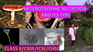 HETEROTROPHIC NUTRITION AND ITS TYPE [upl. by Emarie]