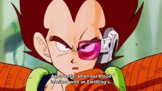 Vegeta Talks About HybridSaiyans Japanese [upl. by Dyrrej]