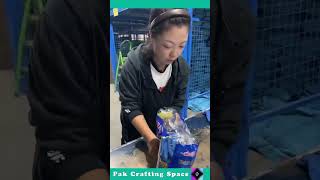 The Process Of Packing Gloves In The Shopper [upl. by Lertnom]