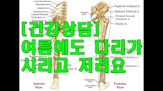 건강상담 다리가 시리고 저린 증상 Numbness of Lower Limb [upl. by Idok]