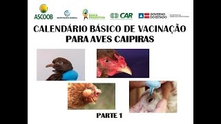 PARTE 1CALENDÁRIO BÁSICO DE VACINAÇÃO PARA AVES CAIPIRAS CADEIA PRODUTIVA DA AVICULTURA AULA 02 [upl. by Tanhya]