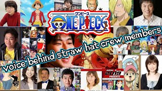 ONE PIECE  VOICE BEHIND THE CREW MEMBER THE STRAW HAT PIRATES  STRAWHAT PIRATES CREW VOICE ACTORS [upl. by Retepnhoj]