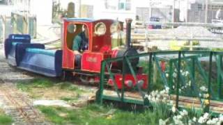 Ladybird at the Bath amp West Railway [upl. by Aicissej]