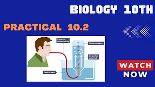 Biology 10th Practical 102 Experiment to find out how much air a person can take into hisher lungs [upl. by Kayne441]