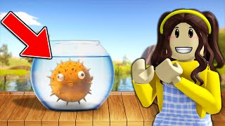 Escape as Puffer Fish  I am Fish Part 3 [upl. by Ezar]