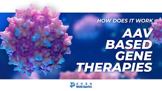 How Does It Work  AAV Based Gene Therapies [upl. by Ahsya]