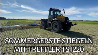 Sommergerste striegeln mit Treffler TS 1220 am JCB [upl. by Fanchon]