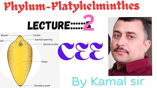 Platyhelminthes phylum  Cee Zoology by Nepali teacher Kamal sir [upl. by Kellyn]