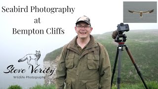 Seabird Photography at Bempton Cliffs [upl. by Juanita58]