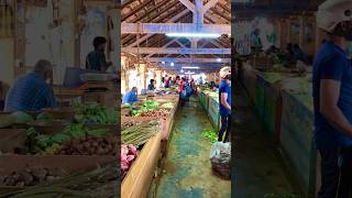 Chankanai vegetable Market travel jaffnavlog jaffna [upl. by Adnilram]