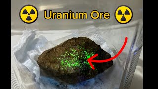 Scary Uranium Ore I Found uranium radioactive uraniumglass uraniummining bmx viral dangerous [upl. by Acherman]