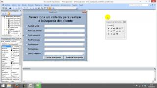 11  Buscar clientes en access por varios criterios [upl. by Eittod542]