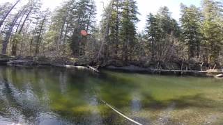 Steelhead fishing on the Situk River [upl. by Bethezel355]