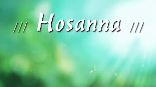 Pista Hosanna al Rey de Ericson Alexander Molano con letra [upl. by Adnilev]