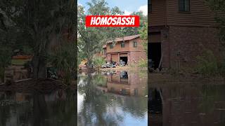 Homosassa Florida [upl. by Pawsner]