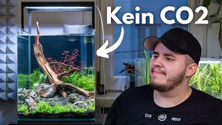 Aquascaping Tutorial 30L Dennerle Nano Cube einrichten [upl. by Anyahc]