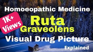 Ruta Graveolens Homoeopathic Medicine Explained  BHMS Study Practice  Ruta 30200 Uses [upl. by Dnarud]