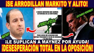 ¡ OPOSICIÓN DE ROD1LLAS  ¡ALITO Y MARKITO SE HUM1LLAN FRENTE A MAYNEZ Y LE SUPL1CAN POR AYUDA [upl. by Eninnej]