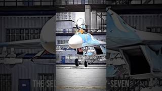 The Sukhoi su27 flanker su27 [upl. by Olaf736]