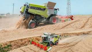 💚Claas Lexion 7600 Montana amp Claas Trion 540🤍 Harvest together in italy  Scarpini [upl. by Ignacius326]