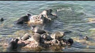 Lake Baikal Siberia Russia [upl. by Ahsimal]