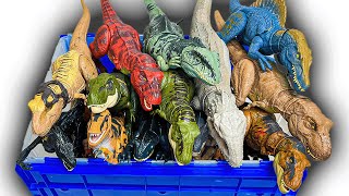 HUGE Haul Of Jurassic Worlds MOST POPULAR Carnivores  TRex Spinosaurus Indominus Rex and More [upl. by Shepard]