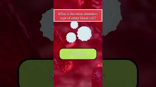 Hematology Quiz hematology biology labscience healthcare premed medstudent medschool [upl. by Rickert492]