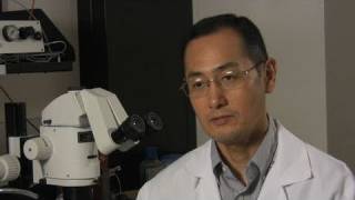 Interview with Nobel winner Shinya Yamanaka [upl. by Annaeel]