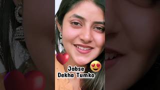 Jabse Dekha Tumko Hum To Khoye Khoye ❤️🌷 Kumar Sanu amp Alka Yagnik  Sanchita Basu shorts reels [upl. by Enilra]