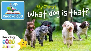 🐶 What Dog Is That 🐕 ReadAloud Book 📖 Kids Nonfiction [upl. by Komsa]