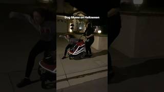 Who else is taking their dog trick or treating👻 dogs doglover dogstroller halloween dogmom [upl. by Bakki]