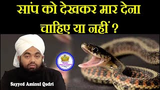 Kya Saap Snake Ko Dekhne Par Mar Dene Chahiye  Sayyed Aminul Qadri [upl. by Hanonew]