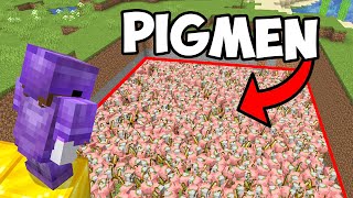 1032 Zombie Pigmen VS Minecraft SMP to get REVENGE [upl. by Aihsotal946]