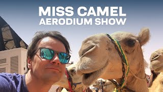 Flight show at Miss Camel 2017  AERODIUM [upl. by Annairam]