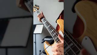 Donny Bénet  Multiply Bass cover bass guitar music donnybenet funk slap musician groove [upl. by Jarnagin633]